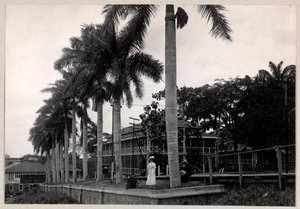 Groupe de deux hommes et une femme sous un palmier pendant la construction du canal de Panama, 1912 ou 1913 - Byron Company